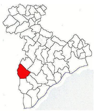Toporu