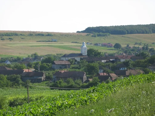 Voiniceni