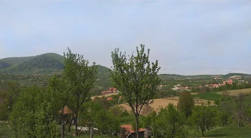 Turț (Comună · Satu Mare)