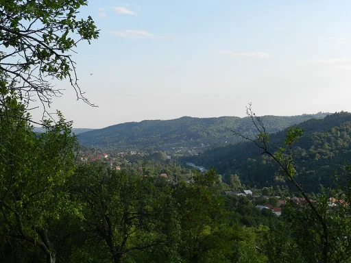 Pietroșița