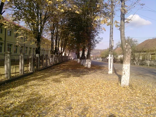 Popești