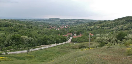 Ocolișu Mic