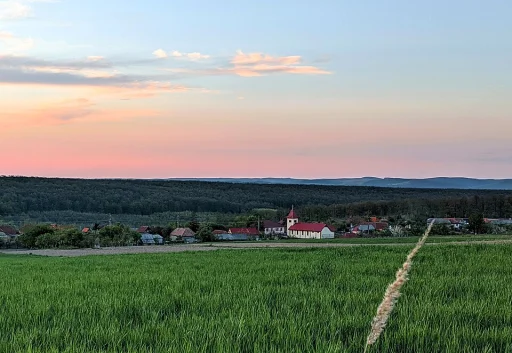 Foglaș