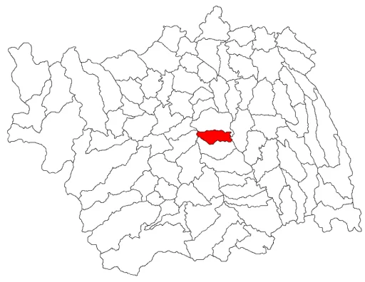 Faraoani (Comună · Bacău)