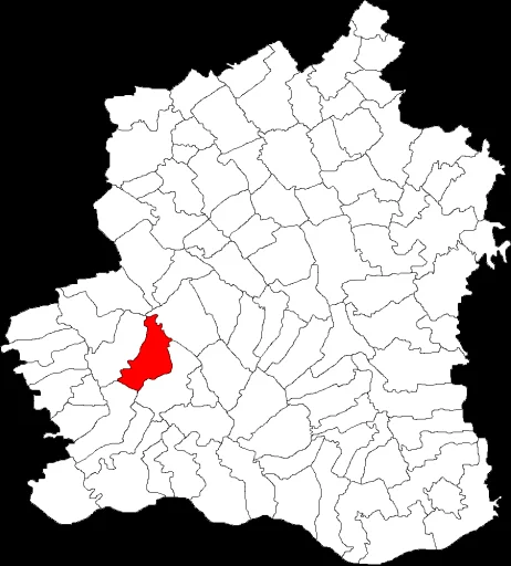 Salcia