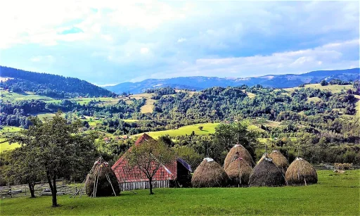 Tranișu