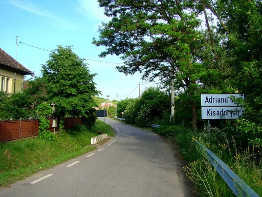Adrianu Mic