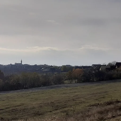 Cordău