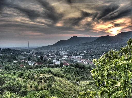 Baia Sprie (Oraș · Maramureș)