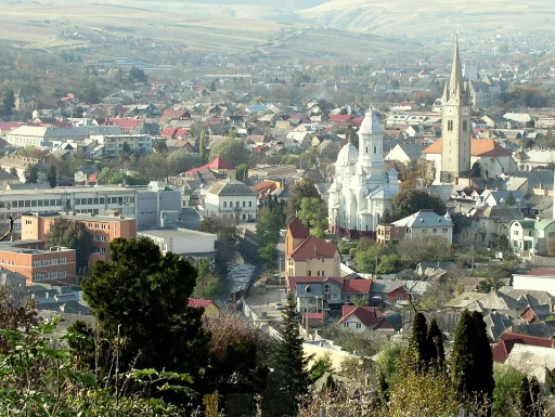 Turda (Municipiu · Cluj)