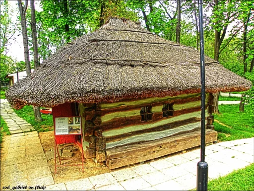 Gospodărie din Zăpodeni, Vaslui