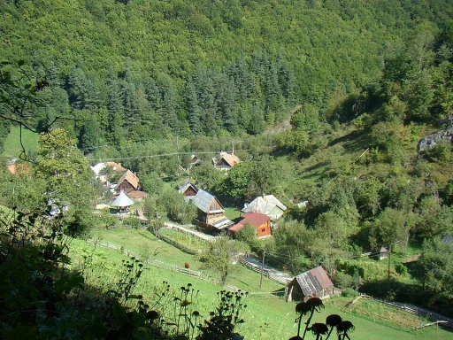 Izbita