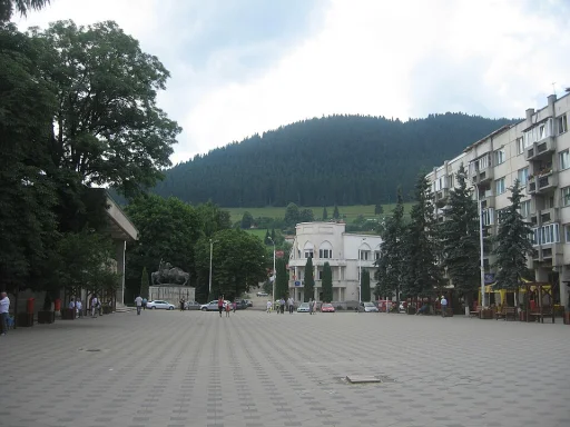 Câmpulung Moldovenesc (Municipiu · Suceava)