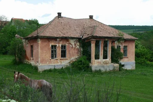 Pruniș